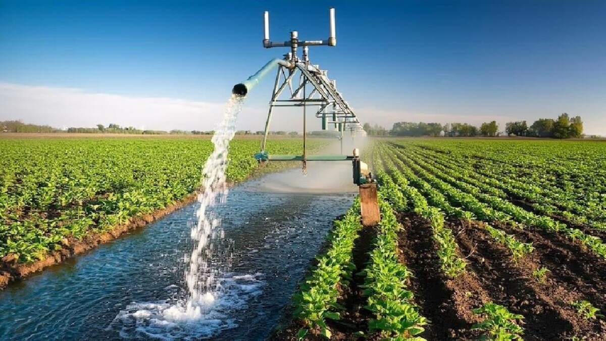 Irrigation Project