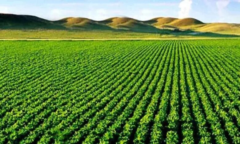 Kharif Season