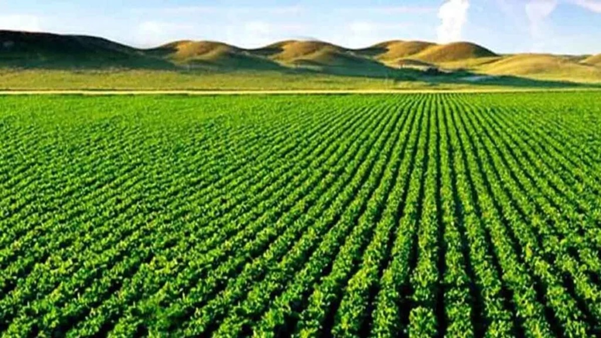 Kharif Season