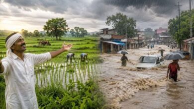 Monsoon Update