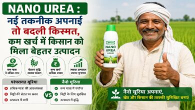 Nano Urea