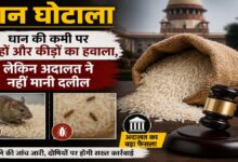 Paddy Scam