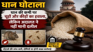 Paddy Scam