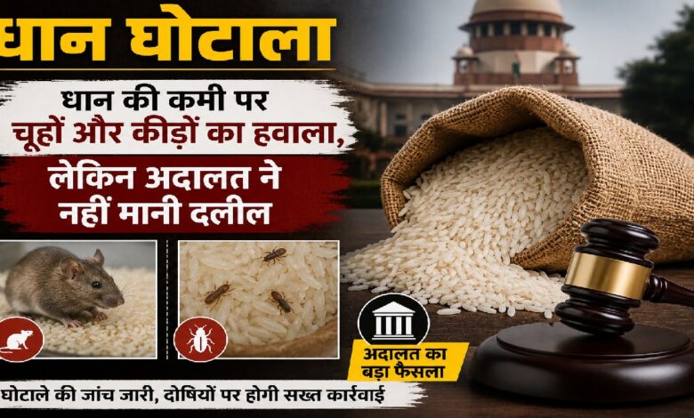 Paddy Scam