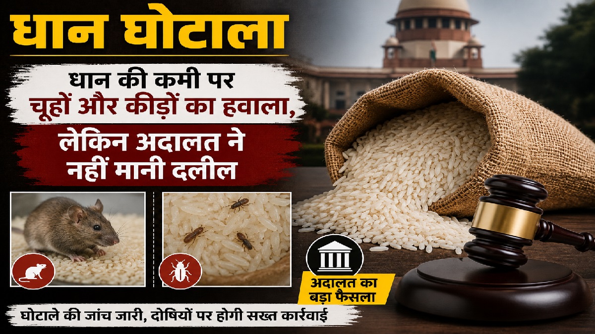 Paddy Scam