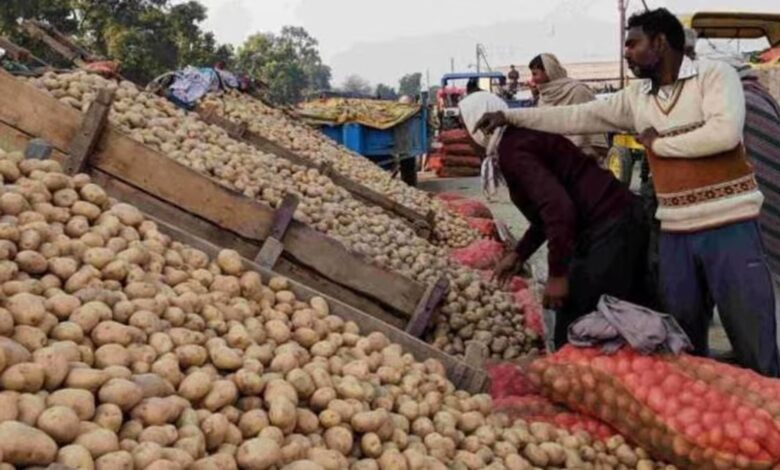 Potato Farmers