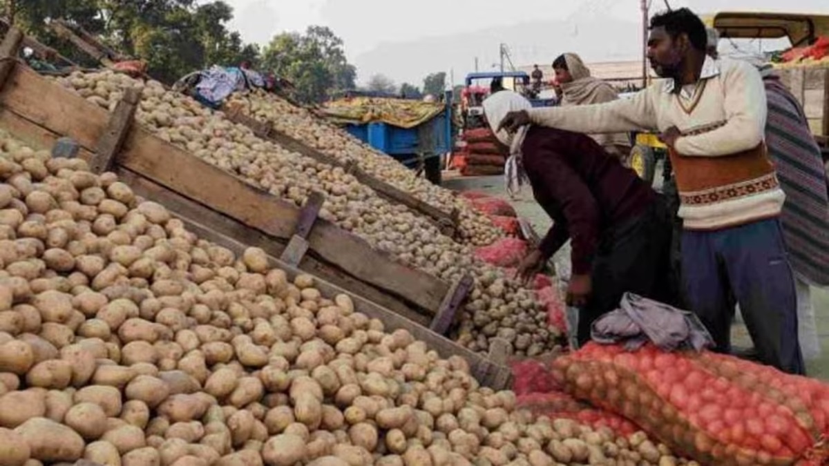 Potato Farmers