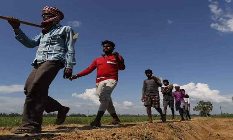 Rural Employment