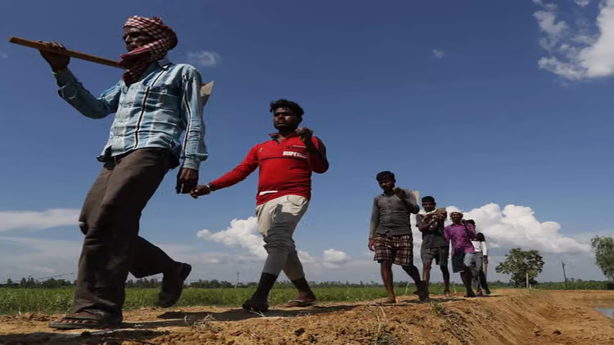 Rural Employment