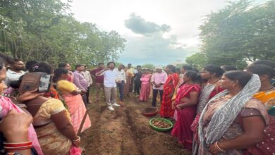 Scientific Turmeric Farming
