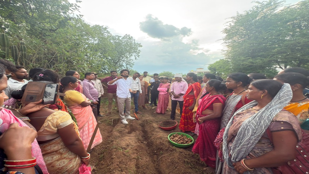 Scientific Turmeric Farming