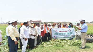 Soil Health
