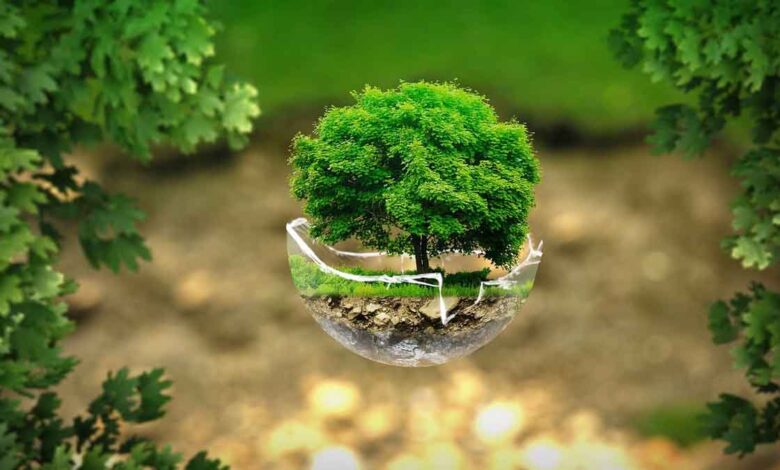Stop messing with nature