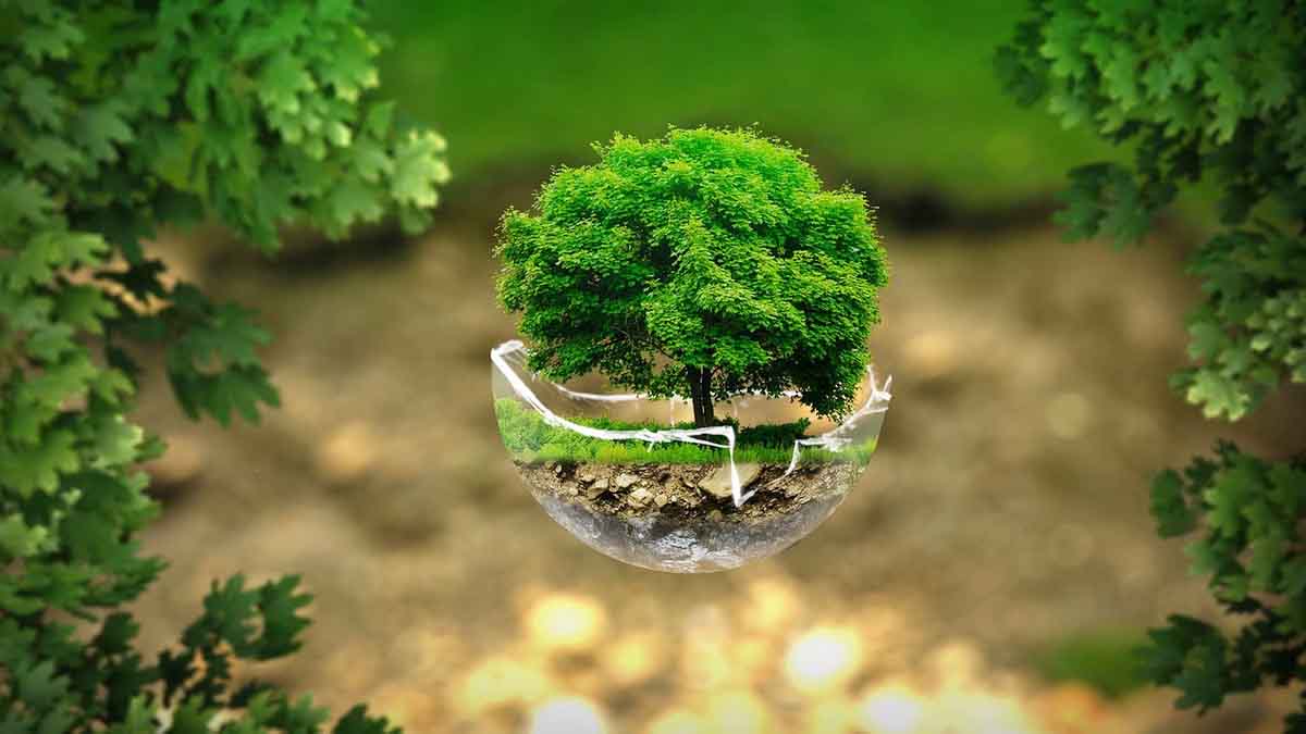 Stop messing with nature