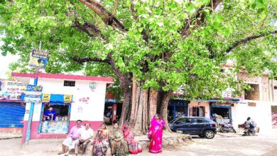 This village of Dhamtari still lives in the shadow of history