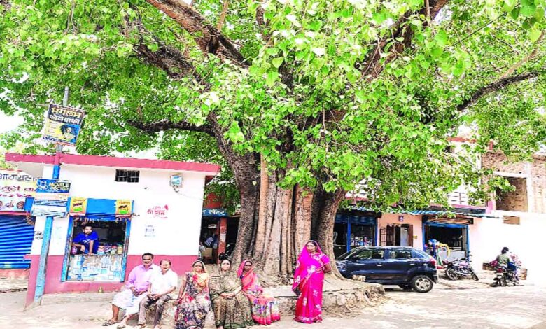 This village of Dhamtari still lives in the shadow of history