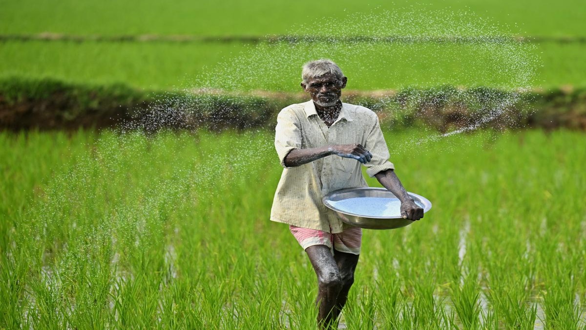 Urea Distribution Guidelines