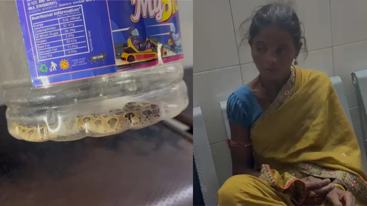 Snake Bite