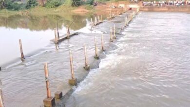 Anicut-cum-Causeway