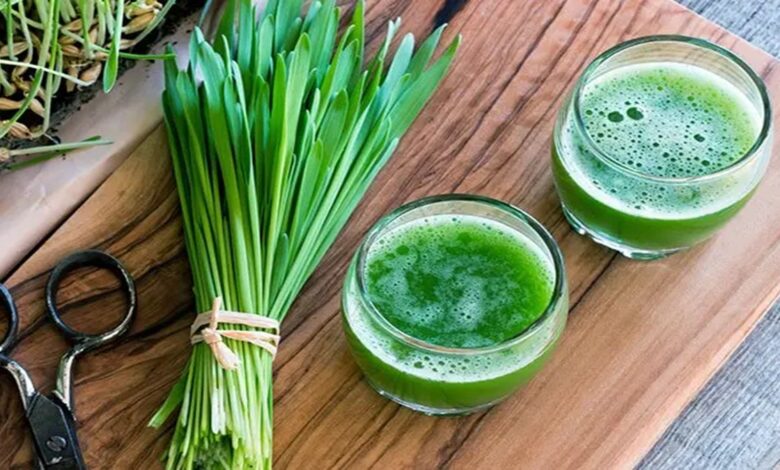 Barley Grass Immunity Boost