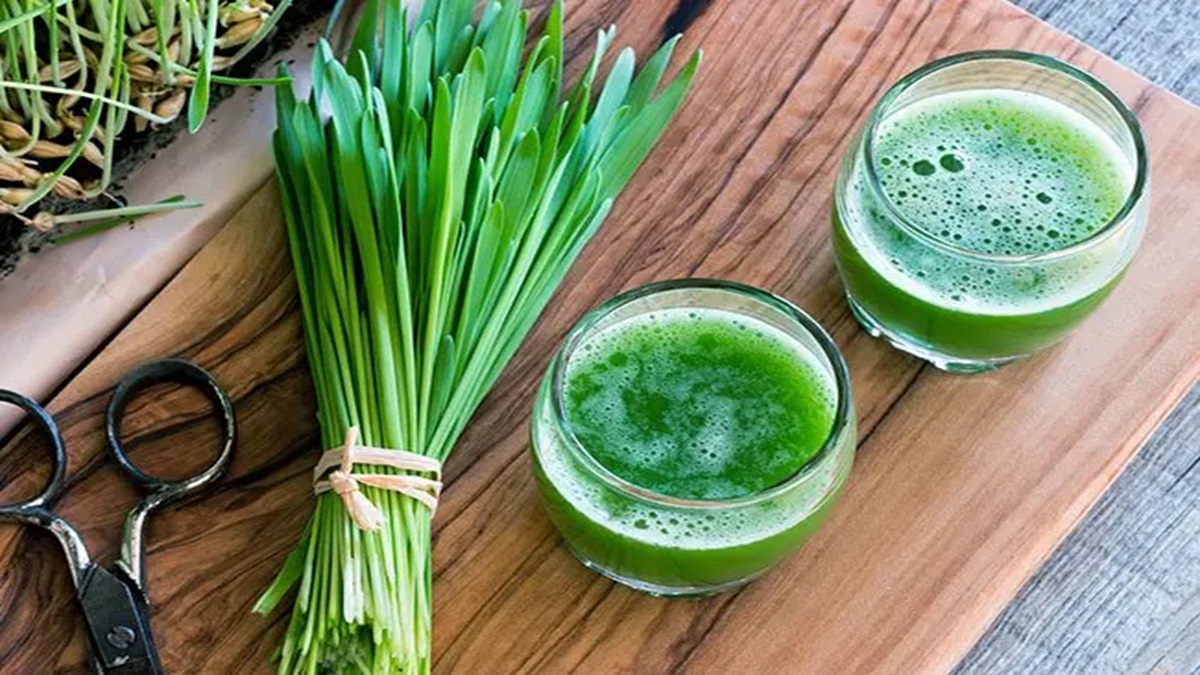 Barley Grass Immunity Boost
