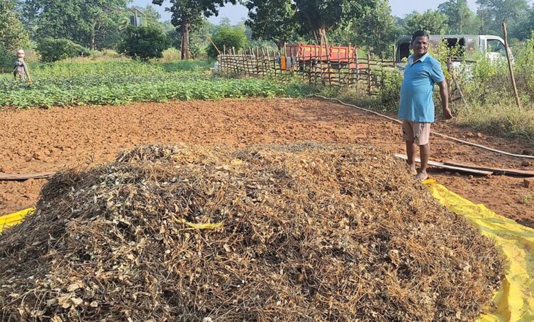 CG Organic Farming