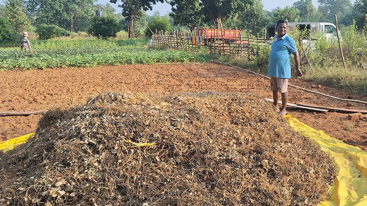 CG Organic Farming