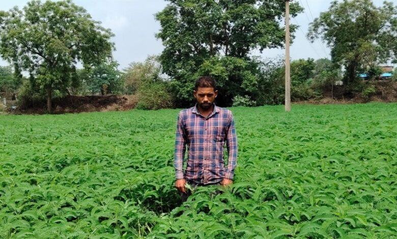 Chhattisgarh News