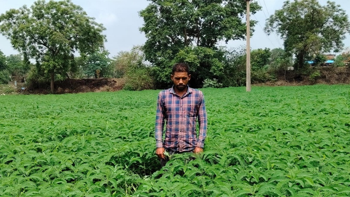 Chhattisgarh News