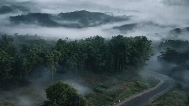 Chhattisgarh Rain