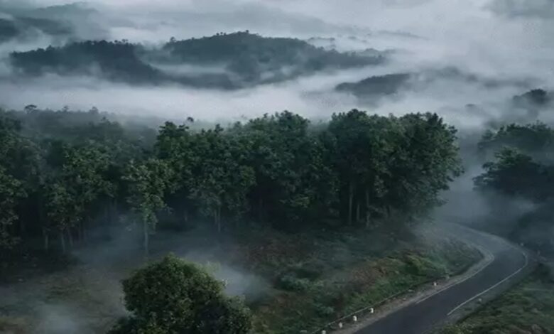 Chhattisgarh Rain