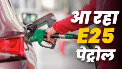 E25 Petrol