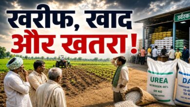 Fertilizer Prices
