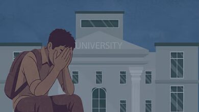 Higher Education
