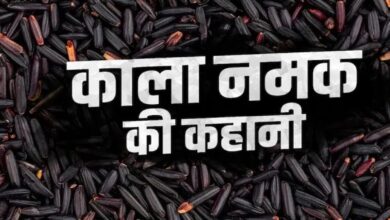 Kala Namak Rice