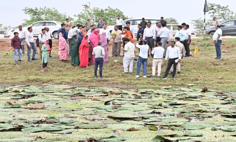 Makhana Farming