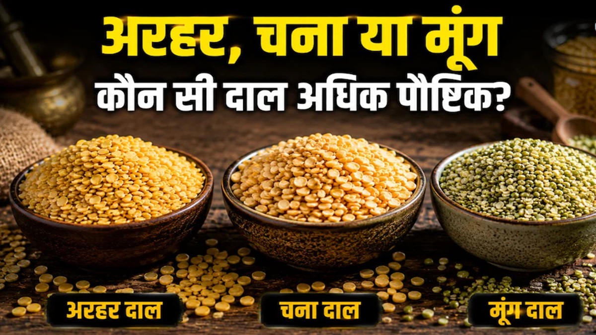 Protein Dal