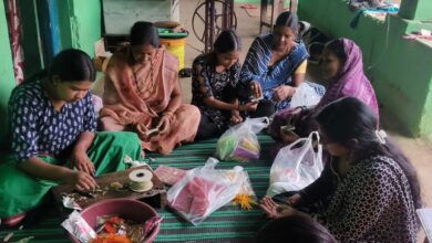 Seed Rakhi
