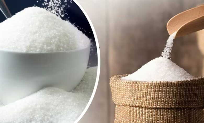 Sugar Production