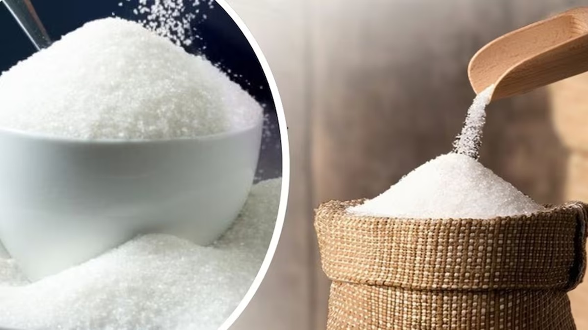 Sugar Production
