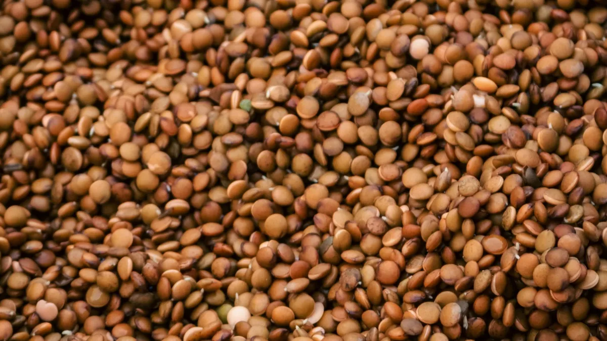 Horse Gram