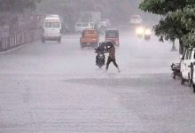 CG Rainfall Update