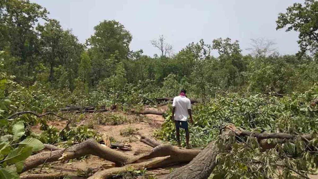 Chhattisgarh environment news