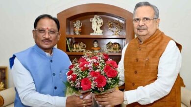 Gas-based fertilizer plant in Rajnandgaon