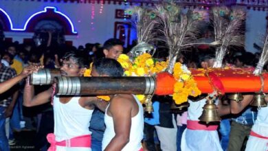 Deities of Bastar Dussehra