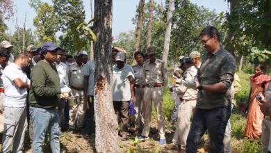 Tree Doctors