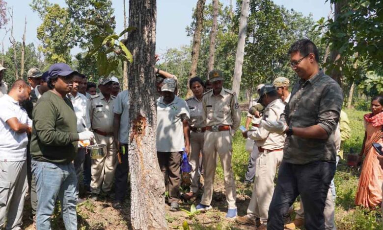 Tree Doctors